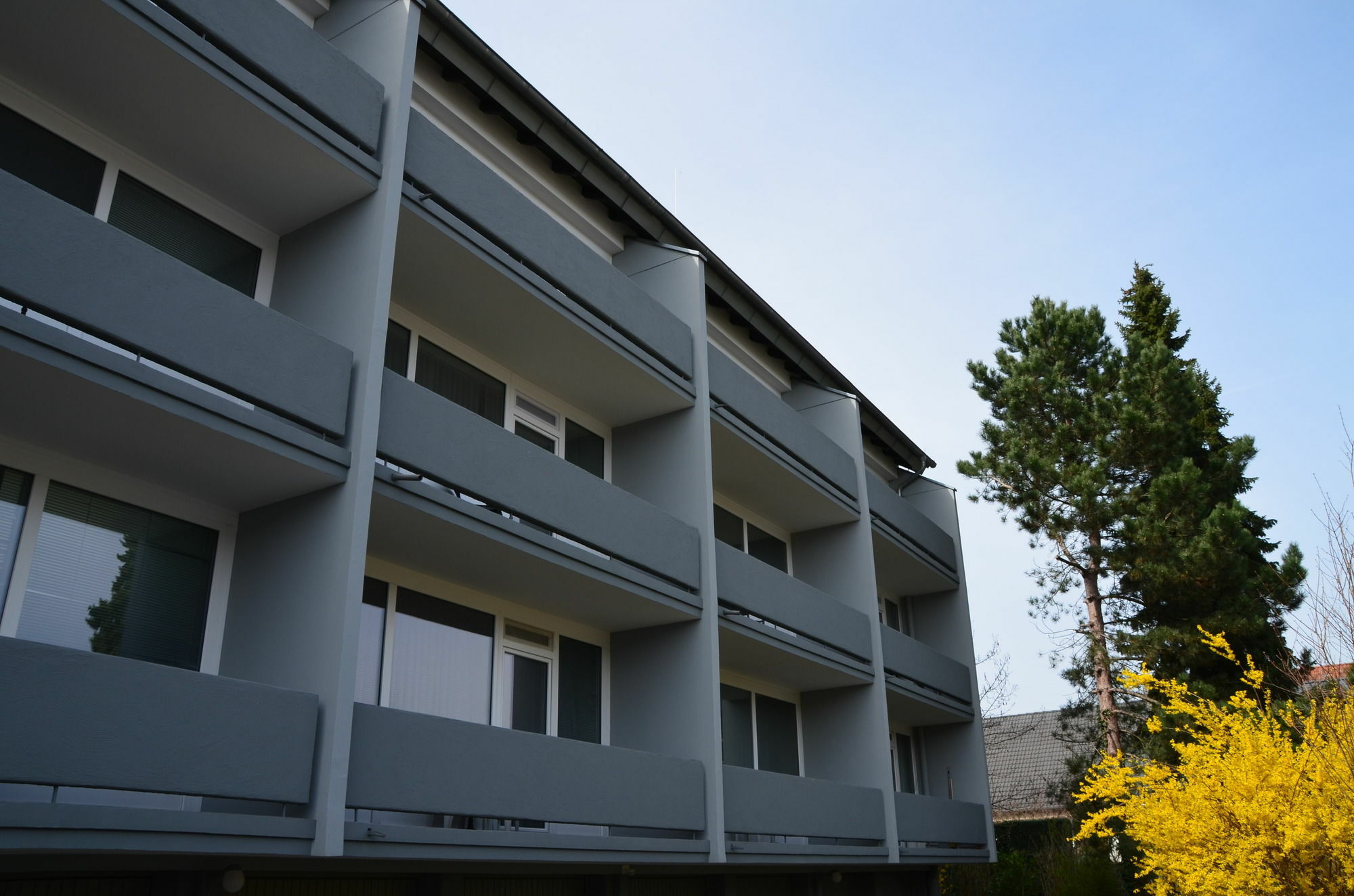 Neu Heidelberg - Guesthouse & Apartments Екстер'єр фото