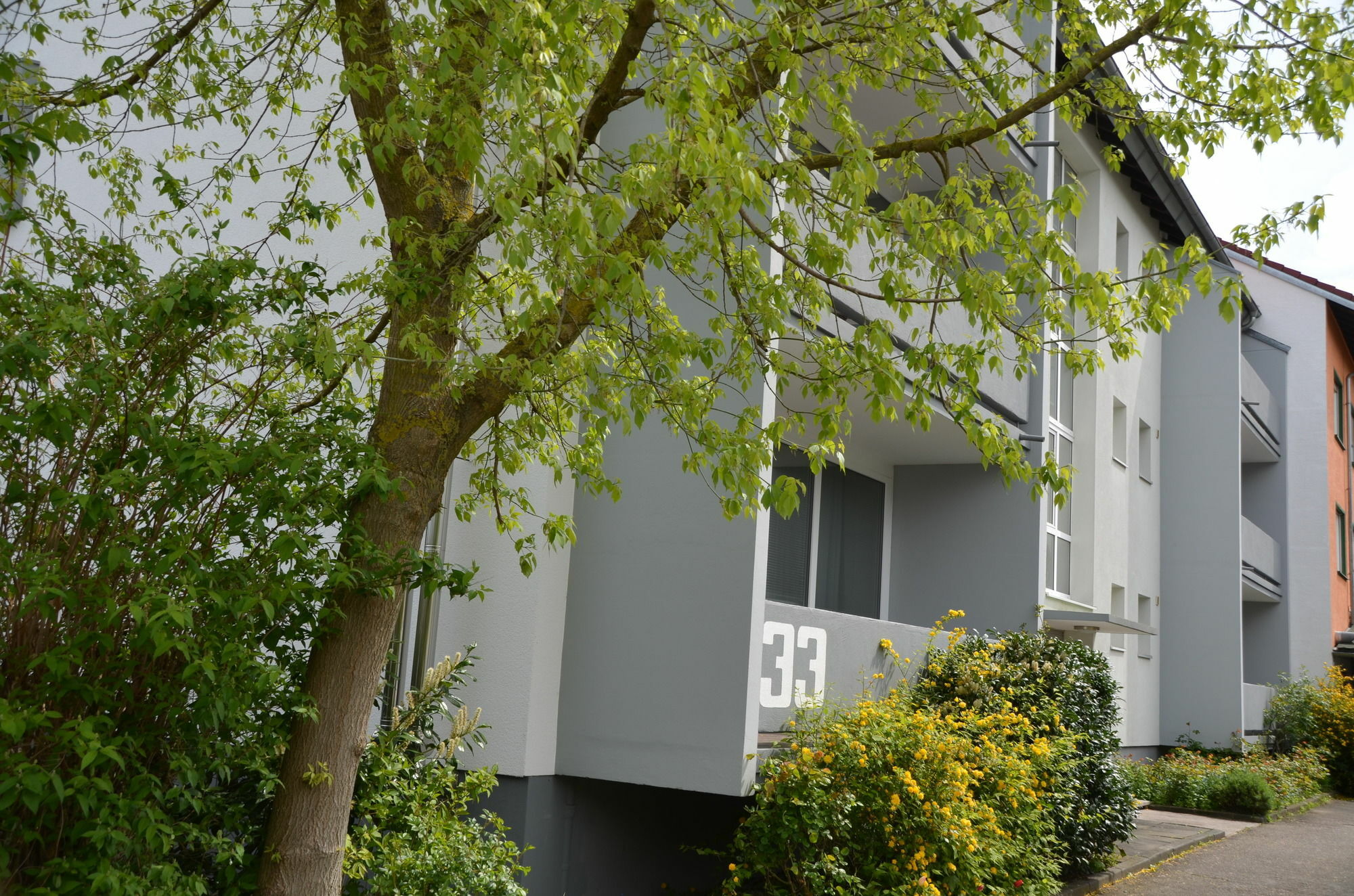 Neu Heidelberg - Guesthouse & Apartments Екстер'єр фото