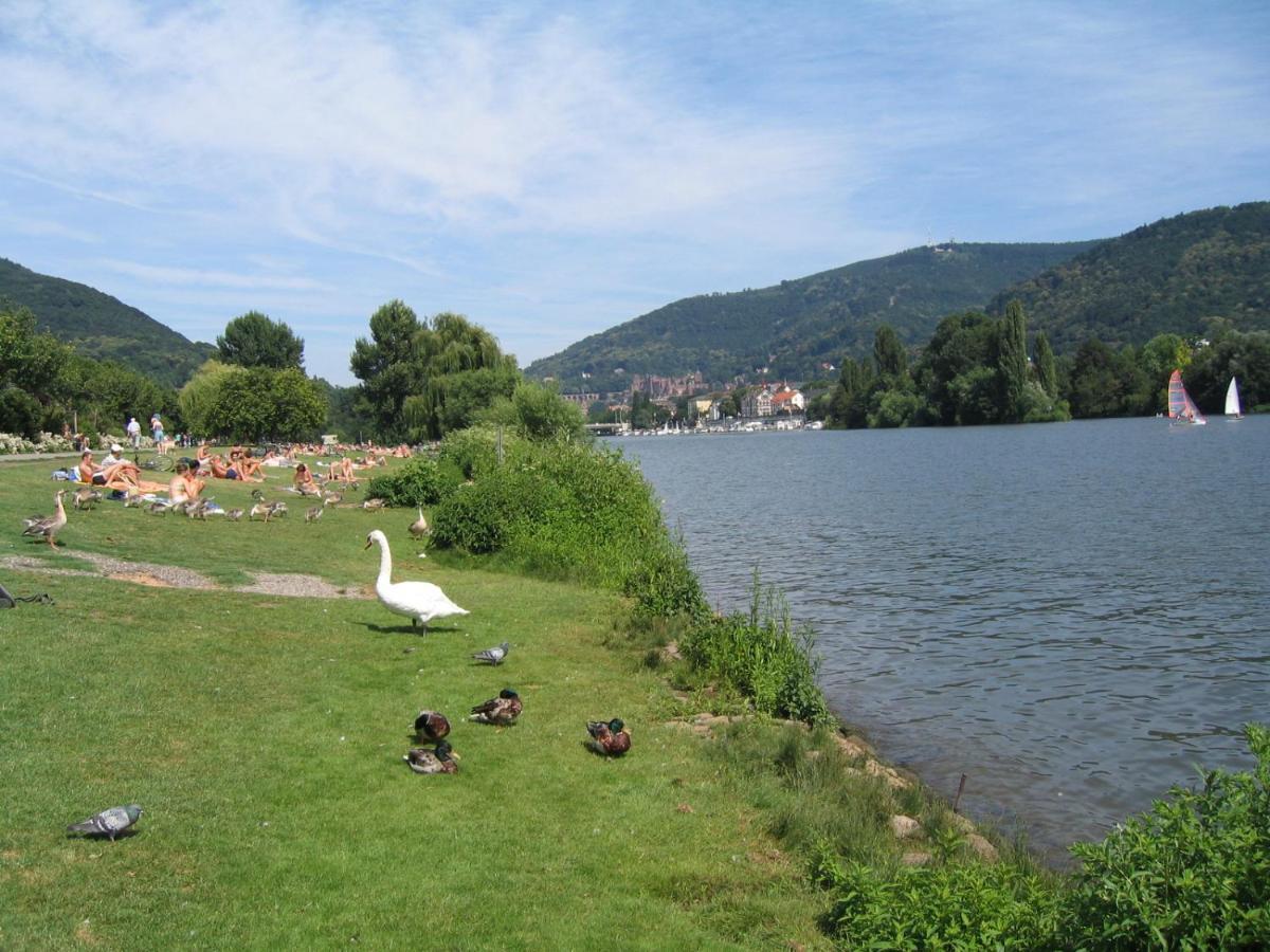 Neu Heidelberg - Guesthouse & Apartments Екстер'єр фото