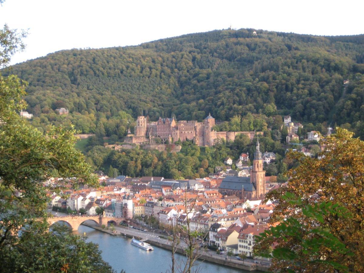 Neu Heidelberg - Guesthouse & Apartments Екстер'єр фото