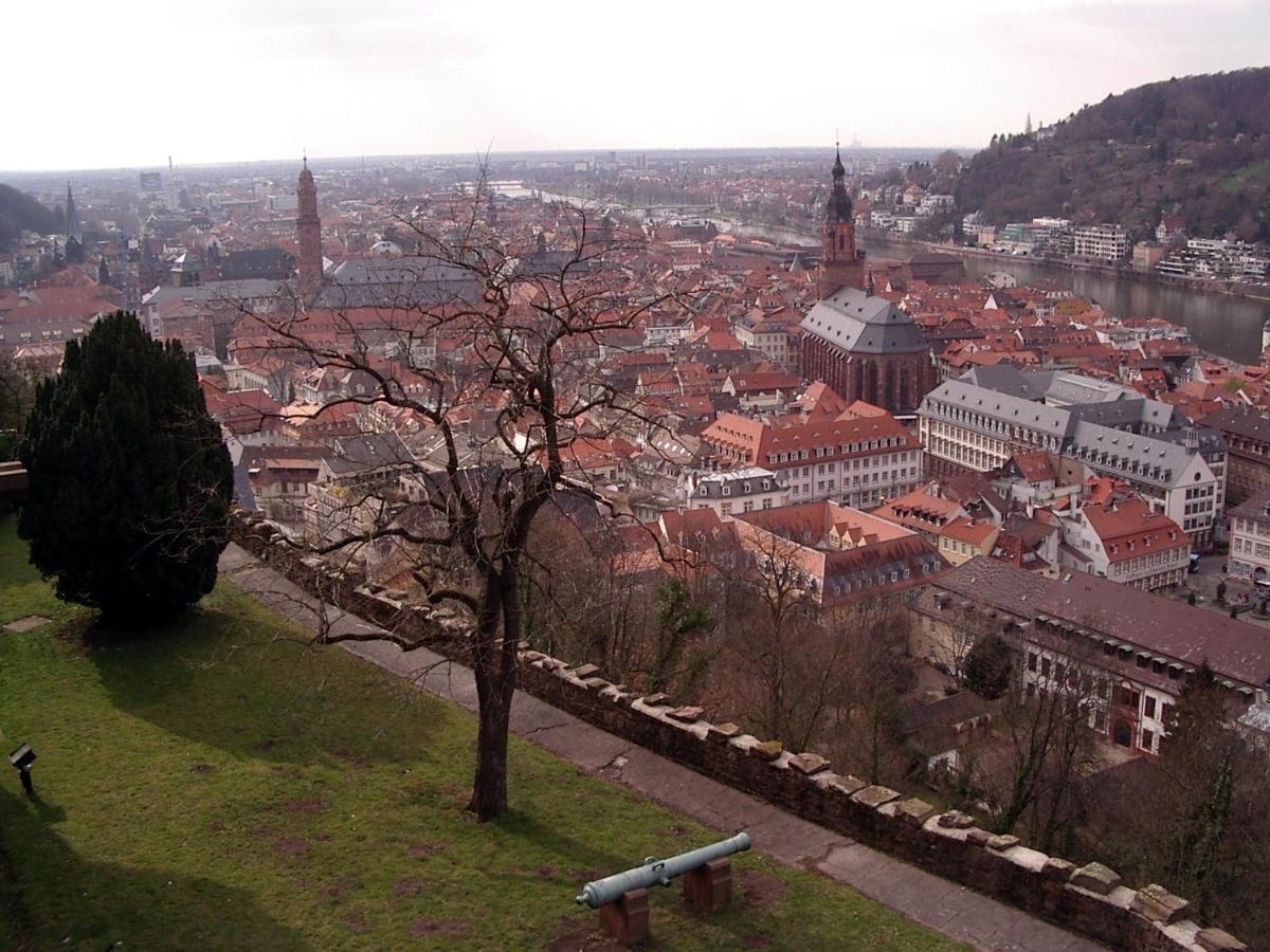 Neu Heidelberg - Guesthouse & Apartments Екстер'єр фото